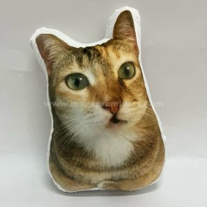 Custom Shape Pillow Digital Print