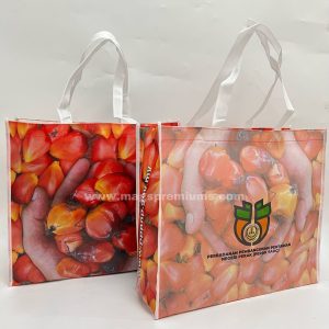 Laminated PP Non Woven Bag