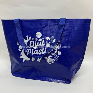 Laminated PP Woven Bag 2