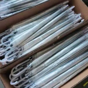 Clear Umbrella Transparent