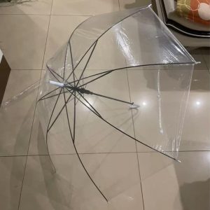 Transparent Umbrella