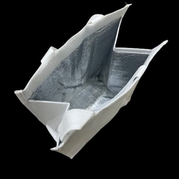 Cooler Bag supplier Malaysia 1