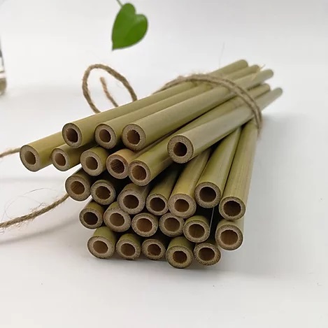 Custom Printed Bamboo Straws B