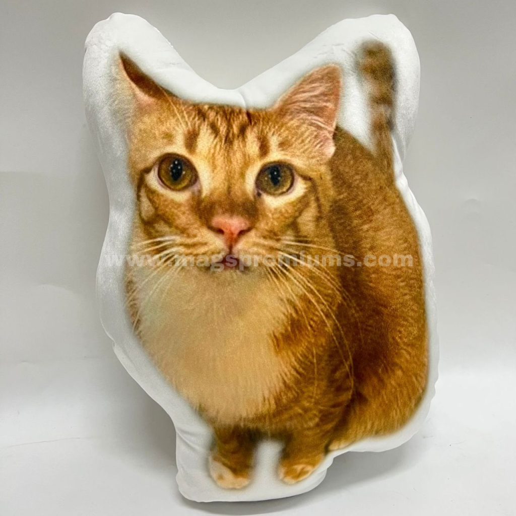 Customized Pillows Malaysia MAGS PREMIUM GIFTS SDN BHD