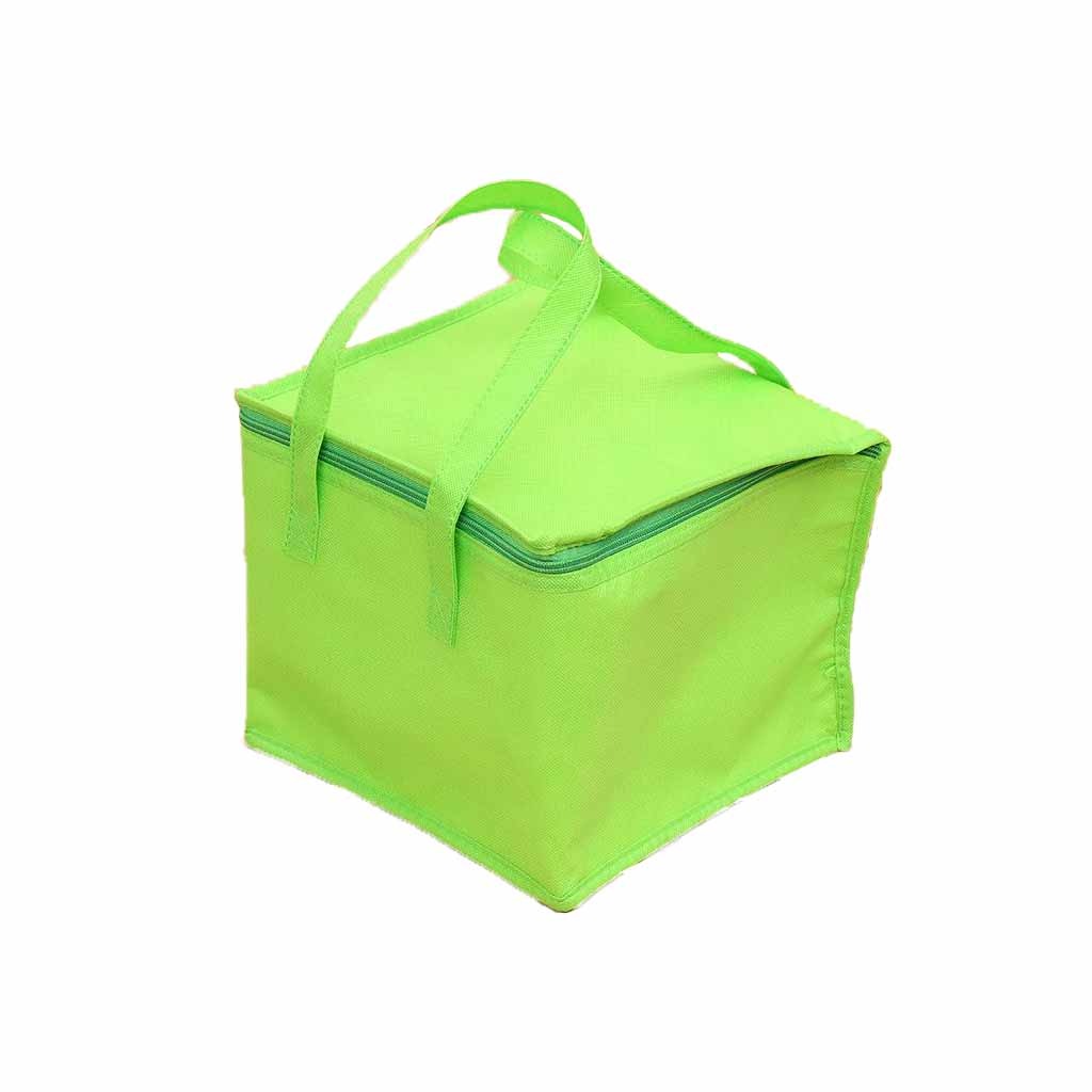Insulated Cooler Bag 1