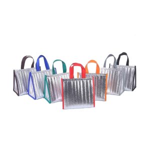 Insulated Lunch Bag 1