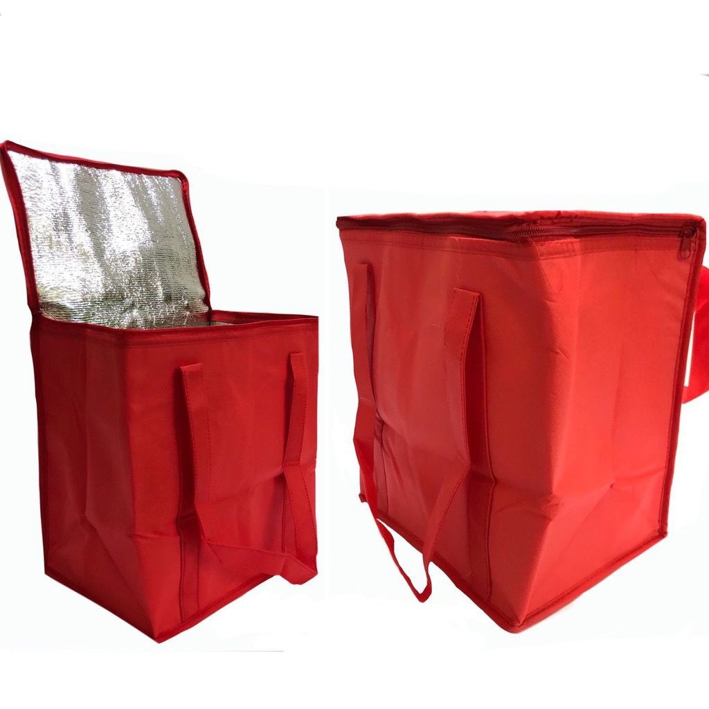 Large Insulated Cooler Bag