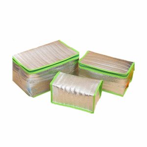 Lunch Cooler Bag 1