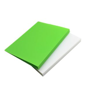 PP File Holder With Logo Printing