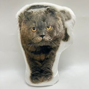 Personalised Photo Pillows