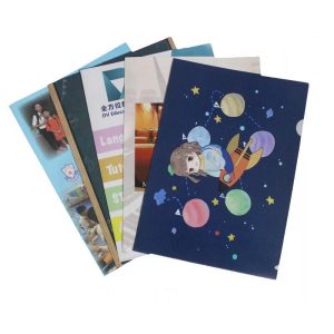 Plastic File Folder 1