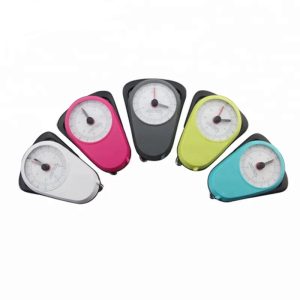 Portable Weight Scale