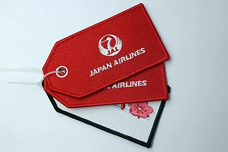 Remove Before Flight Key Ring
