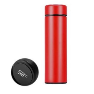 Thermos Bottle with Temperature Display