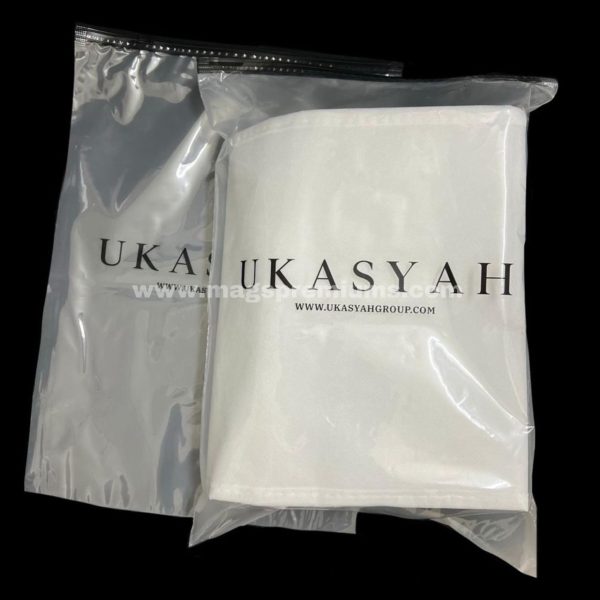 Frosted ZipLock Bag - Image 16