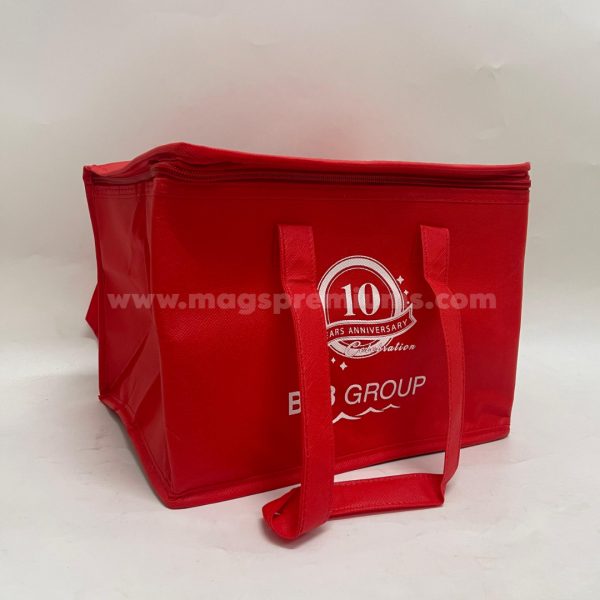 cooler bag