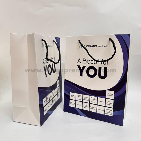 Trusted paper bag supplier in Malaysia offering custom printed bags for businesses, events, and retail packaging. Bulk orders available