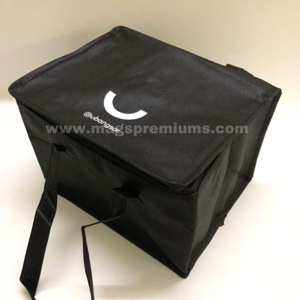 insulated cooler bag 2