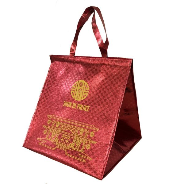Large Insulated Lunch Bag
