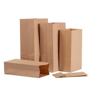 kraft shoppng bags