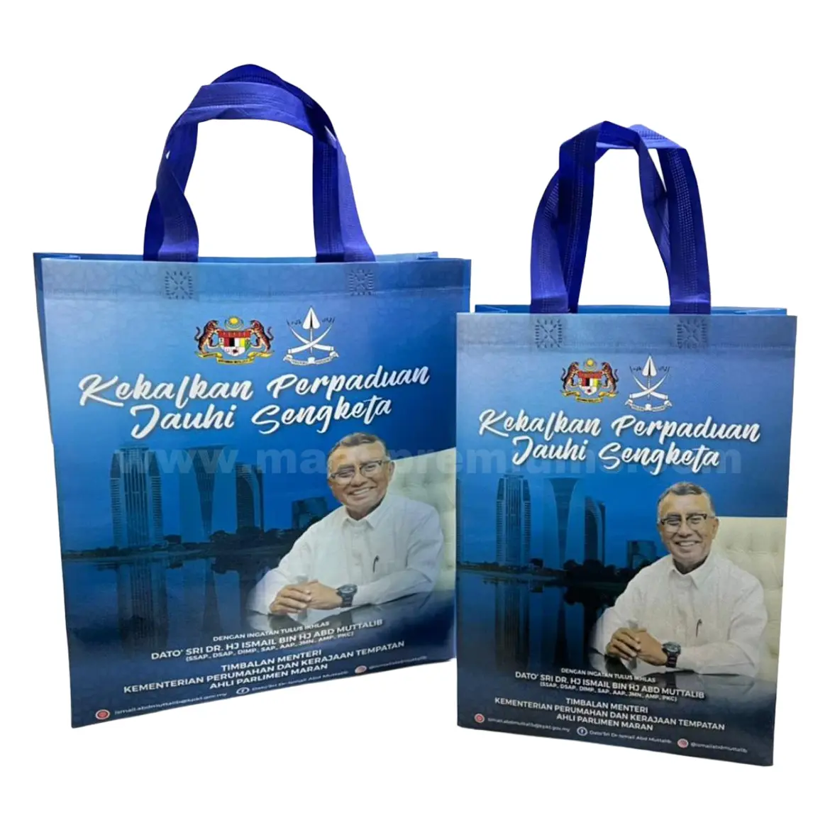 laminated non woven bag