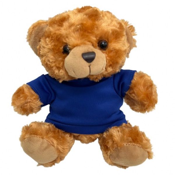 Custom Teddy Bear