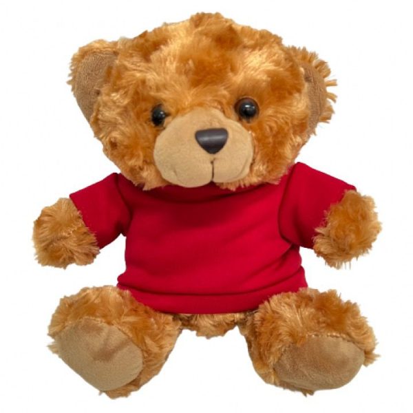 personalised teddy bear