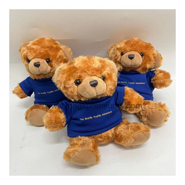 Custom Teddy Bear - Image 14
