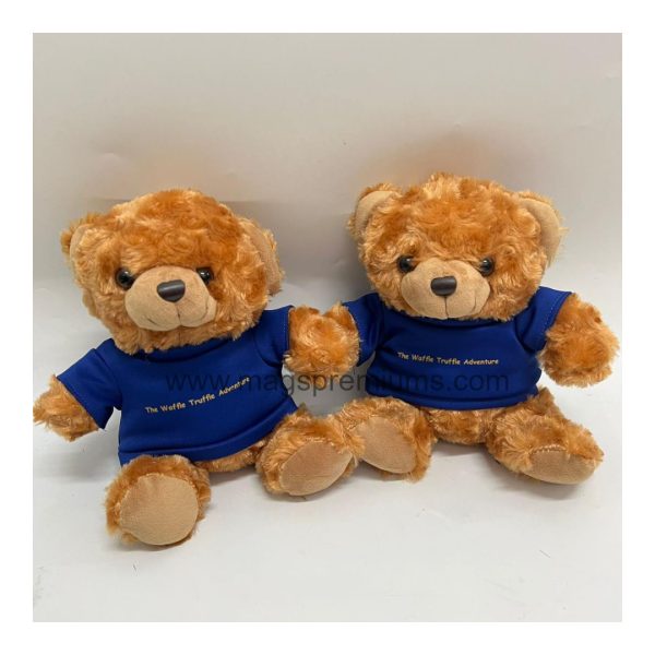 teddybear with tshirt custom iii