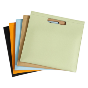 premium A4 file carry bag in multiple colors with cutout handle for professional use